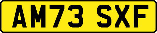 AM73SXF