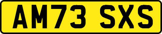 AM73SXS