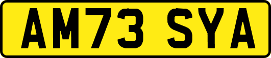 AM73SYA