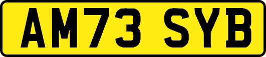 AM73SYB