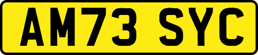 AM73SYC