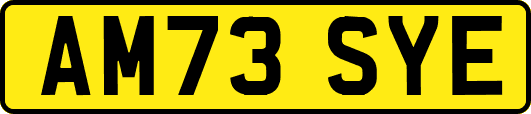 AM73SYE