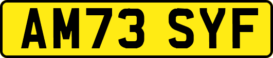 AM73SYF
