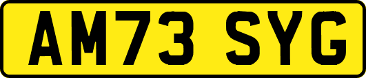 AM73SYG