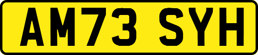 AM73SYH