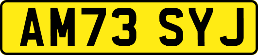 AM73SYJ
