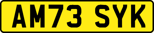AM73SYK