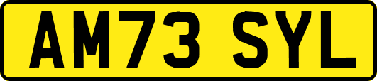 AM73SYL