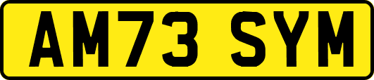 AM73SYM
