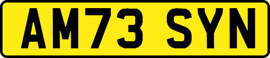 AM73SYN