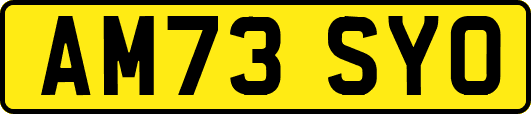 AM73SYO