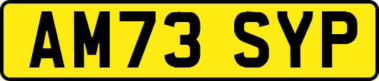 AM73SYP