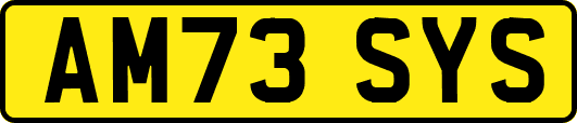 AM73SYS
