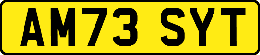 AM73SYT
