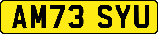 AM73SYU