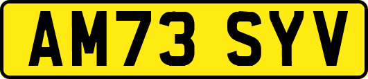 AM73SYV