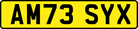 AM73SYX