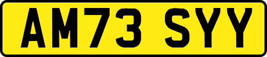AM73SYY