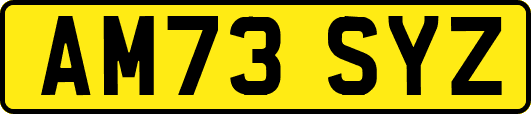 AM73SYZ