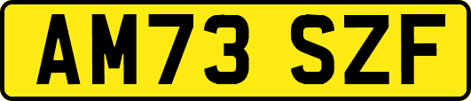 AM73SZF