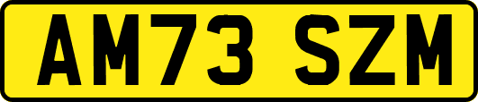 AM73SZM