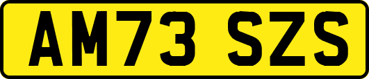 AM73SZS