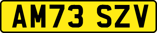AM73SZV