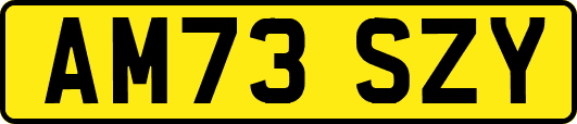 AM73SZY