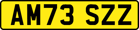 AM73SZZ