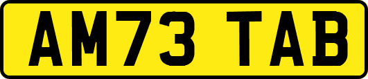 AM73TAB