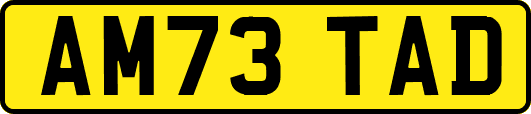 AM73TAD