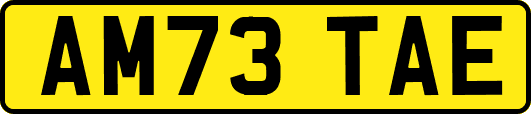 AM73TAE