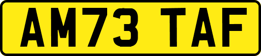 AM73TAF