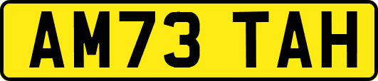 AM73TAH
