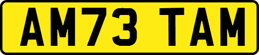 AM73TAM