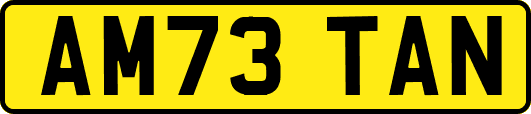 AM73TAN