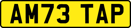 AM73TAP