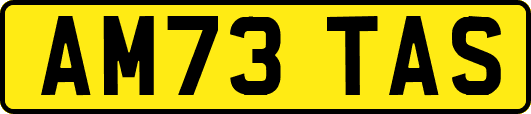 AM73TAS