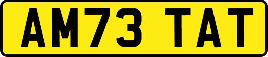 AM73TAT