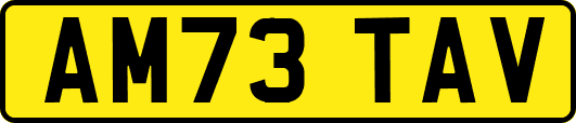 AM73TAV