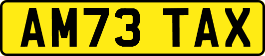 AM73TAX