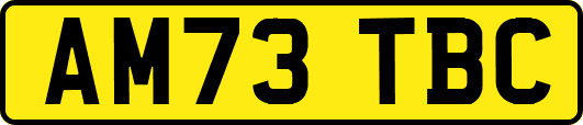 AM73TBC