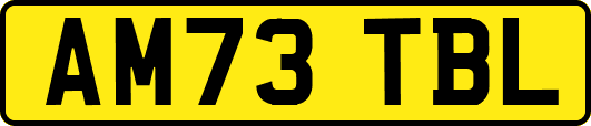 AM73TBL