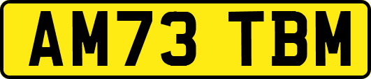 AM73TBM