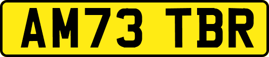AM73TBR