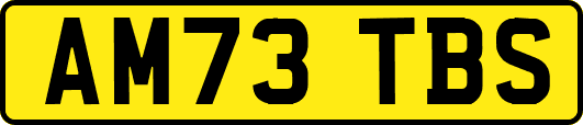 AM73TBS