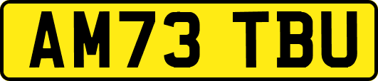 AM73TBU