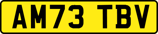AM73TBV