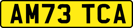 AM73TCA