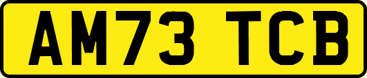AM73TCB
